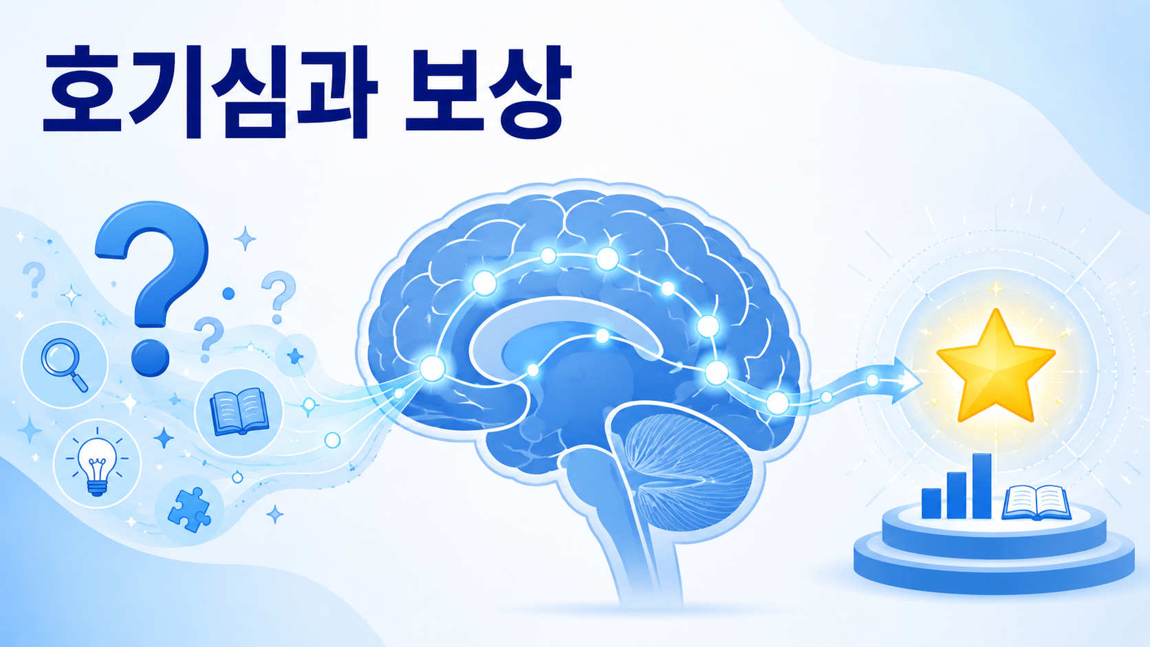 호기심이 정보를 탐색하고 뇌의 보상 회로를 활성화하는 과정을 상징적으로 표현한 인포그래픽 이미지