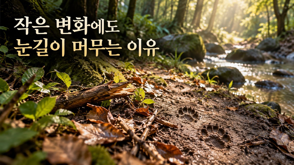 숲길의 발자국과 달라진 주변 흔적을 통해 작은 환경 변화를 발견하는 모습을 보여주는 이미